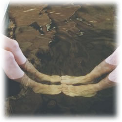 新潟 日帰り温泉 家族風呂